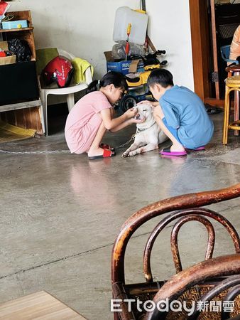 ▲米克斯「弟弟」。（圖／飼主黃明瀚授權提供）