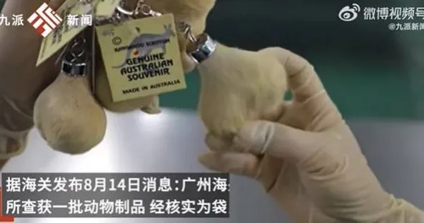 大陸海關查獲一袋心型毛毛鑰匙圈　一捏發現「是睪丸...」