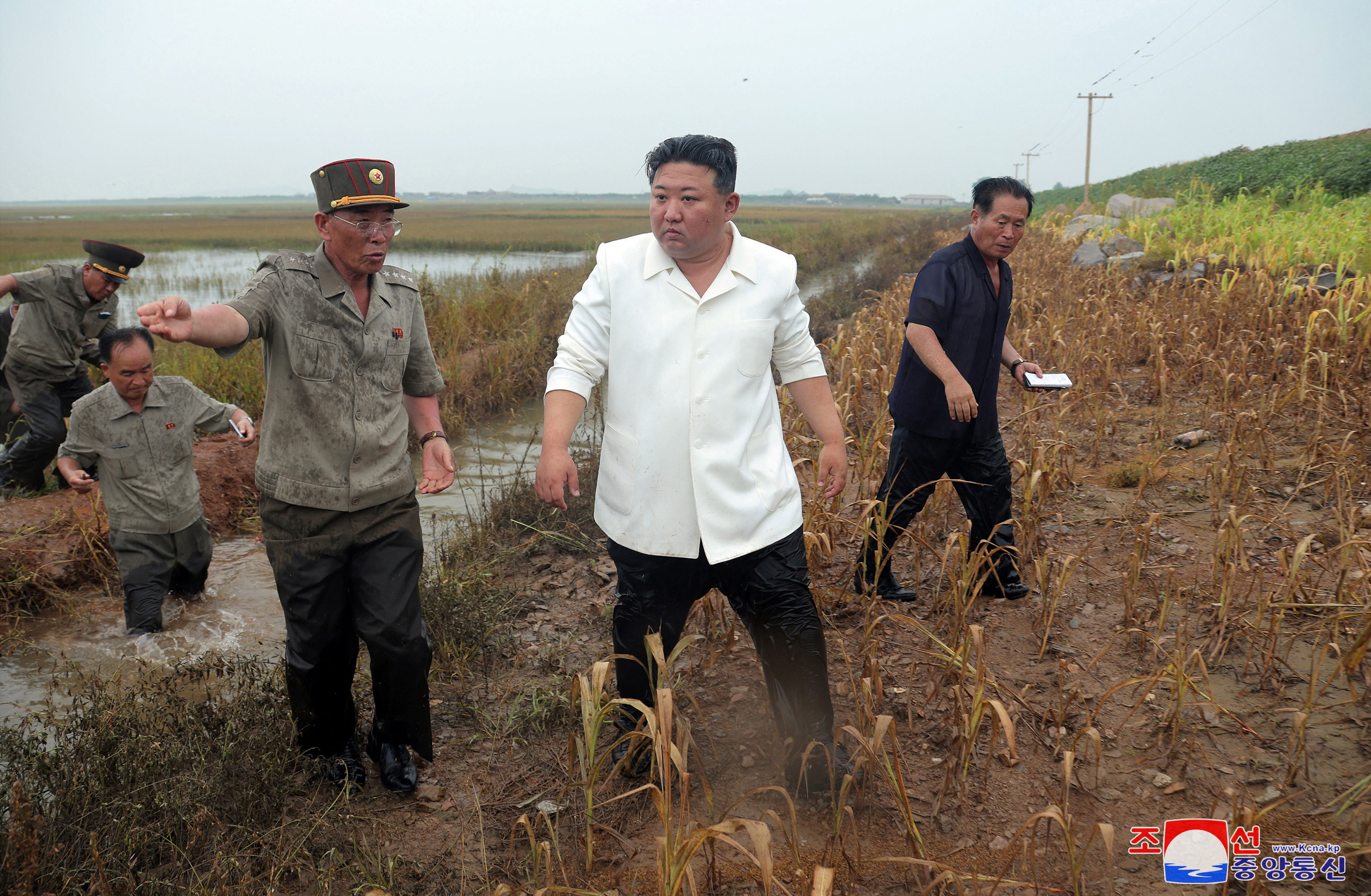 ▲▼金正恩視察平安南道干瀉地因潰堤而遭洪水倒灌淹沒的農田。（圖／路透）