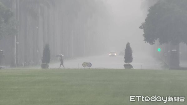 ▲台大校園午後雷陣雨。（圖／記者呂佳賢攝）