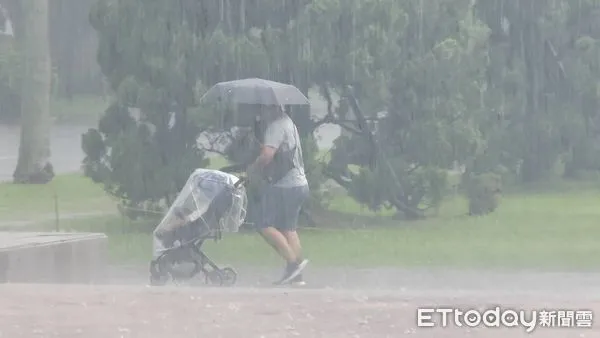 ▲▼台大校園午後雷陣雨。（圖／記者呂佳賢攝）