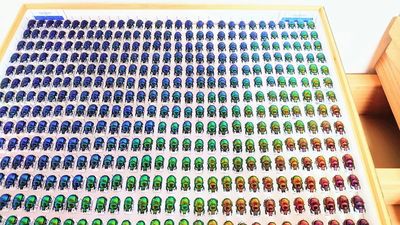 他秀450隻「金龜子七彩標本」　自曝漸變色排列創作緣由：太閒了
