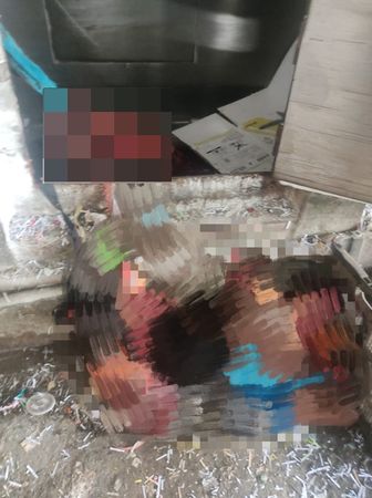 慎入！工人處理回收品失誤　整個人被吸進機器壓扁慘死