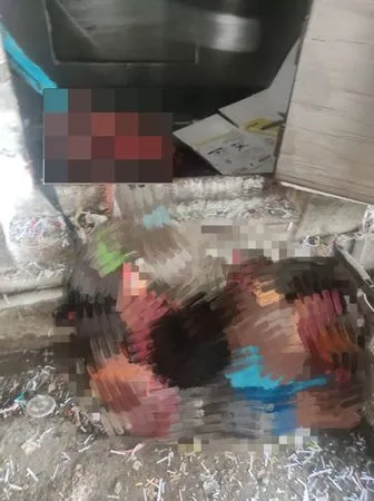 慎入！工人處理回收品失誤　整個人被吸進機器壓扁慘死