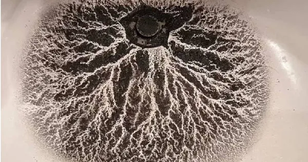 網友發現住家水槽炸出圓形的黑色河流。（圖／翻攝自Reddit）