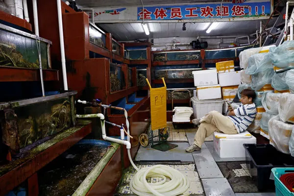 ▲▼北京的海鮮市場。（圖／路透社）