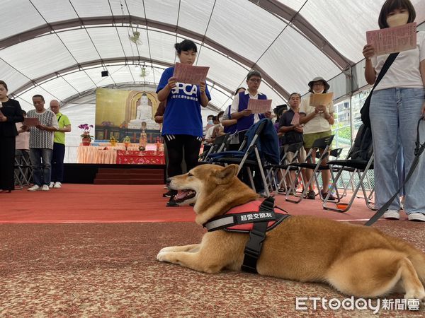 ▲▼ 新北動保處中元山海動物聯合祈福法會為眾生祈福 。（圖／記者戴上容攝）