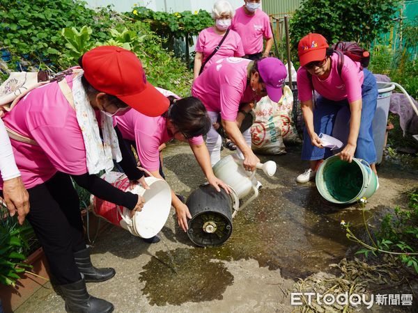 ▲▼ 八里里長與志工清理菜園積水容器            。（圖／記者戴上容翻攝）