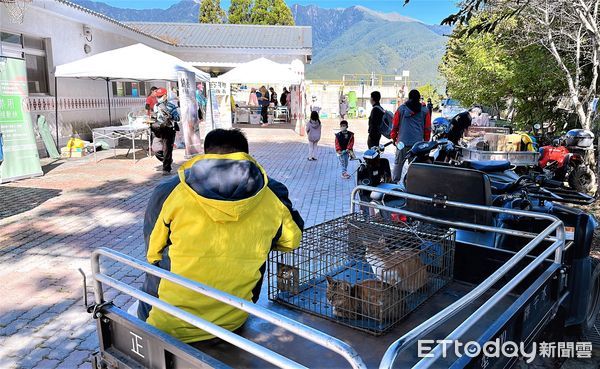 ▲台中野生鼬獾檢出狂犬病，動保處9/18起上梨山打疫苗。（圖／動保處提供）