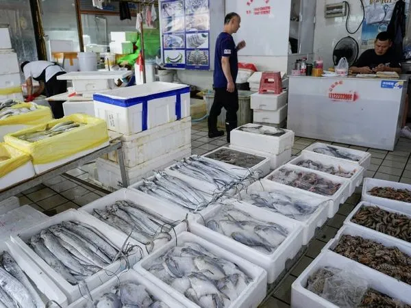 ▲中國禁止日本水產進口，使日本魚價一夜暴跌。（圖／路透）