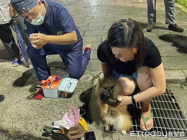 ▲▼博美「小腳卡進水溝」痛到哀哀叫！　板橋警、獸醫暖心救援幫脫困。（圖／板橋警分局提供，下同）