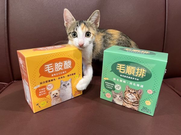 東森購物網主推貓保健商品下殺5折（圖／東森購物提供）