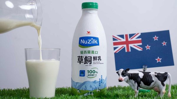 NuZilk紐西蘭進口草飼鮮乳（圖／業者提供）