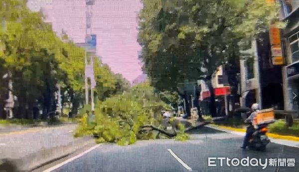 ▲▼        騎士遭路樹砸死，最新視角曝光     。（圖／記者邱中岳翻攝）