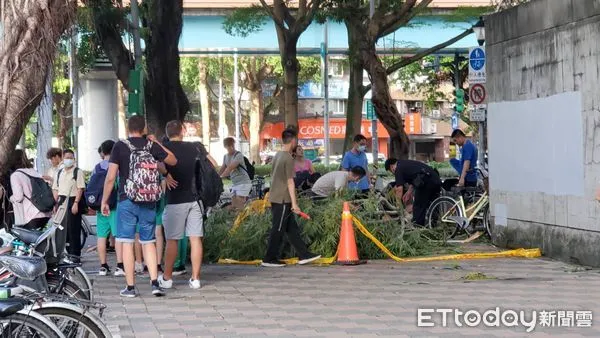 ▲台北市大安區和平東路三段六張犁捷運站外，路樹掉落砸傷路人。（圖／記者黃彥傑攝）