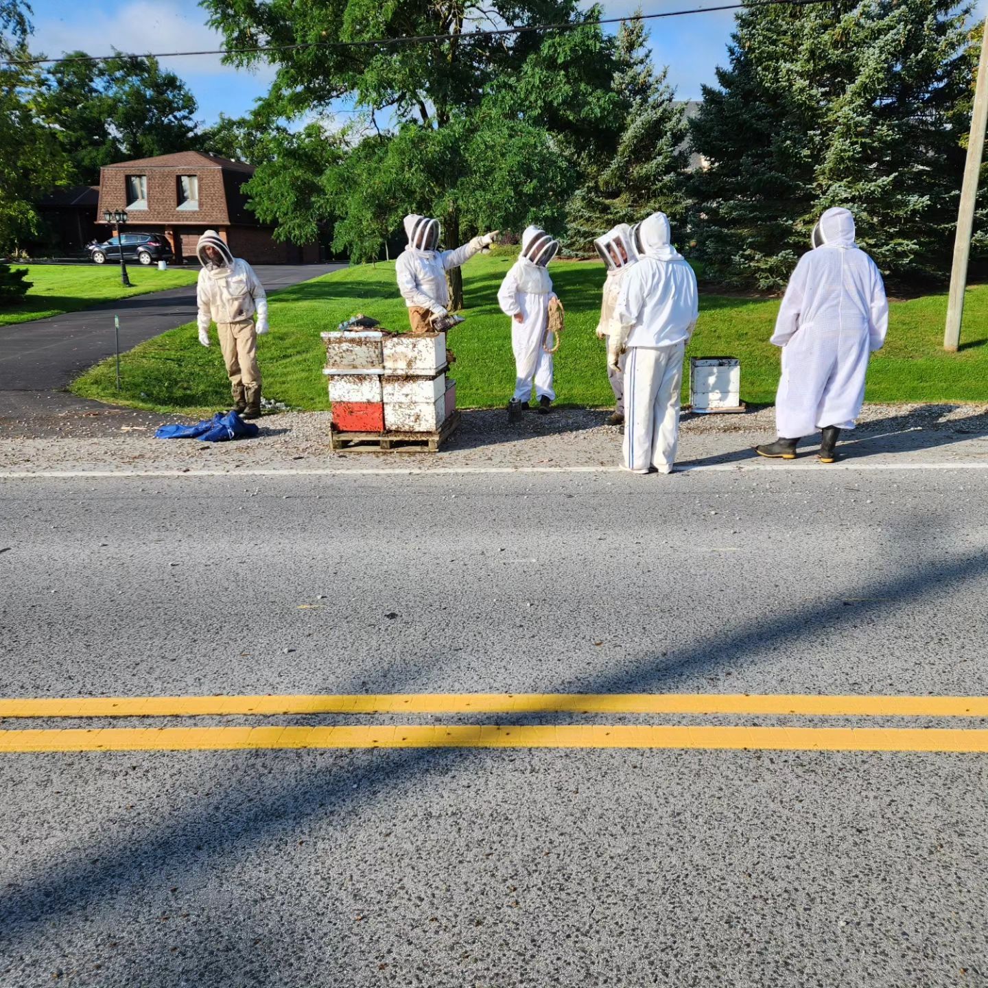 ▲▼加拿大卡車掉出蜂箱，500萬隻蜜蜂飛出。（圖／翻攝自Facebook／Tri-City Bee Rescue）