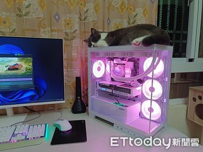 飼主打遊戲到一半貓咪突然湊熱鬧！見牠「窩在鍵盤旁」：都讓你