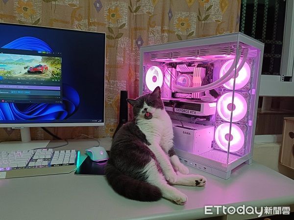 ▲▼貓貓很喜歡在飼主打電腦的時候跑去湊熱鬧。（圖／網友長隆提供，請勿隨意翻拍，以免侵權。）