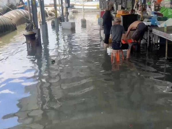 ▲彰化縣西塭仔漁港淹水。（圖／賴清美提供）