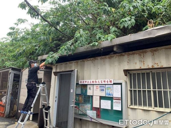 ▲▼海葵颱風來襲！新北市動物之家總動員加強防颱　保護毛小孩安全。（圖／新北動保處提供）