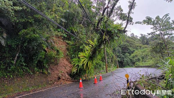 ▲▼宜蘭清水地熱遊憩區聯外道路97號電桿上方邊坡路樹倒塌，壓損電線，園區斷電。（圖／記者游芳男翻攝，下同）