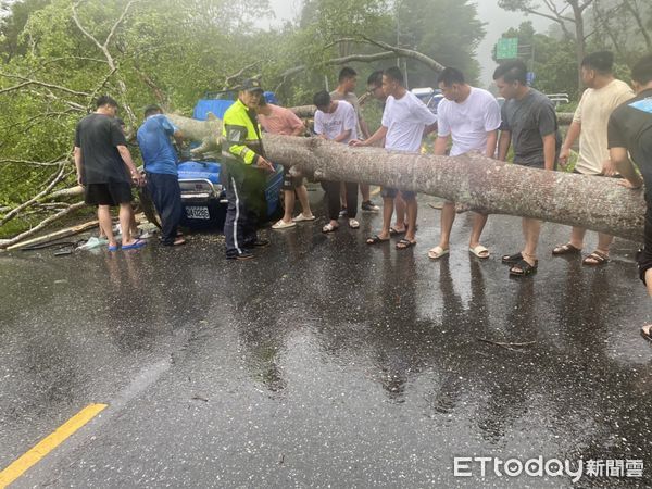 ▲▼藍色發財車遭路樹倒壓，車內2人受困獲救送醫。（圖 ／民眾提供，下同）