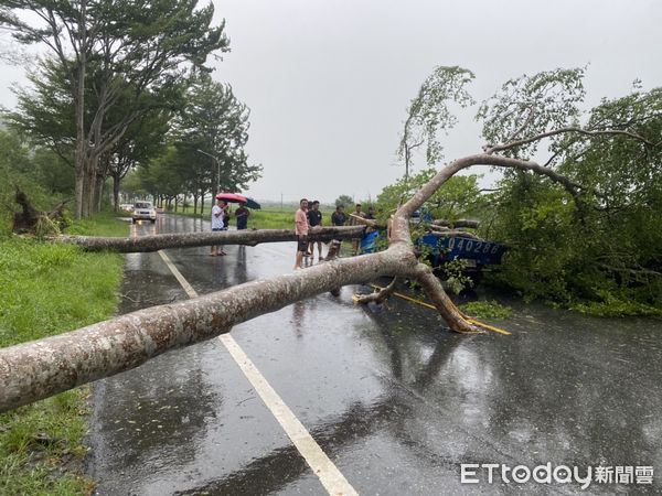 ▲▼藍色發財車遭路樹倒壓，車內2人受困獲救送醫。（圖 ／民眾提供，下同）