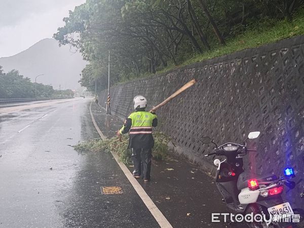 ▲▼海葵帶來強風暴雨，造成花蓮新城地區多處路樹倒塌影響交通。（圖／新城警分局提供，下同）