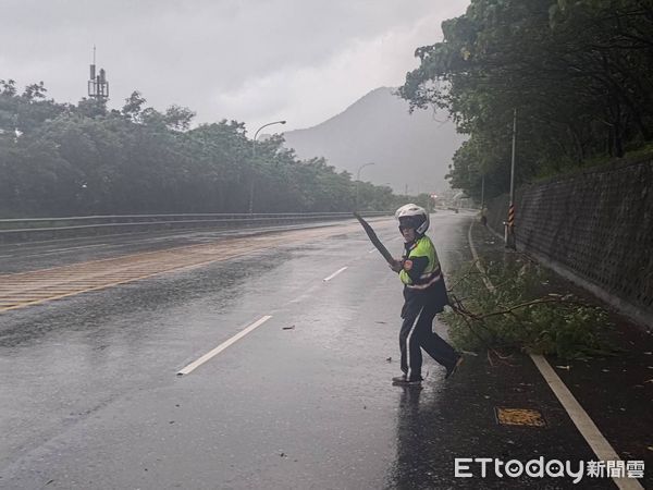 ▲▼海葵帶來強風暴雨，造成花蓮新城地區多處路樹倒塌影響交通。（圖／新城警分局提供，下同）