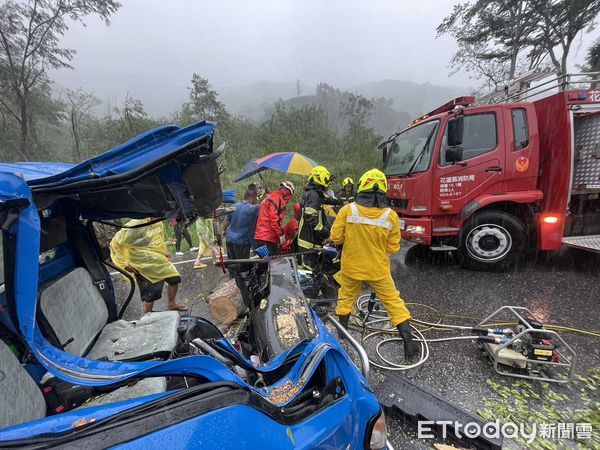 ▲▼海葵颱風來襲，花蓮父子開貨車外出購物，遭倒塌路樹砸中。（圖／記者柯政誟翻攝）