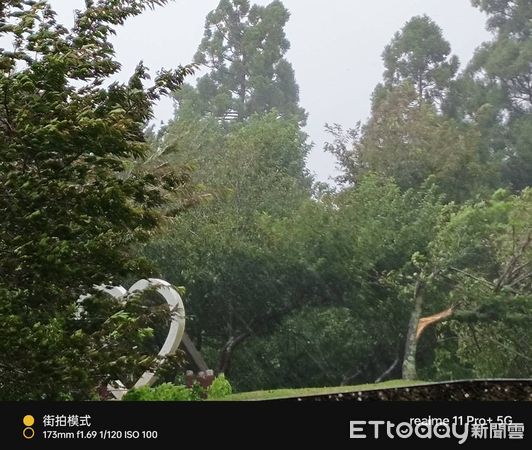 ▲仁愛鄉下午風雨轉強，但清境農場仍有不少旅客冒雨欣賞表演。（圖／清境農場提供）