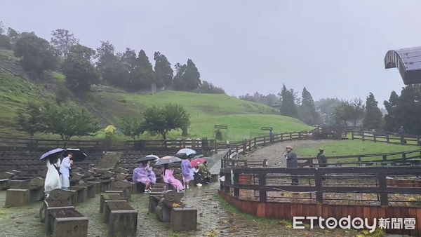 ▲仁愛鄉下午風雨轉強，但清境農場仍有不少旅客冒雨欣賞表演。（圖／清境農場提供，下同）