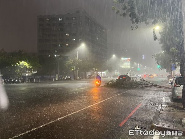 ▲高雄籠罩在海葵颱風暴風圈下，入夜之後，風勢跟雨勢逐漸增強，民眾傘開花，路樹倒塌             。（圖／民眾提供）