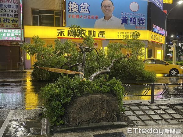 ▲高雄市十全路發生路樹倒塌             。（圖／記者吳奕靖翻攝）