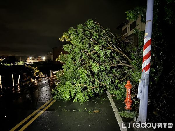 ▲路樹倒塌造成電路短路，旗山、內門地區總共有3萬多戶停電             。（圖／記者吳奕靖翻攝）