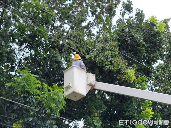 ▲台電屏東區處人員搶修停電             。（圖／台電屏東區處提供）