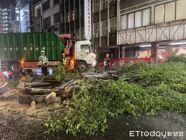 ▲海葵颱風風雨造成台南市路樹倒塌及廣告物掉落等災情，工務局獲報後立即出動人員與機具前往處理，將對交通的影響將到最低。（圖／記者林東良翻攝，下同）