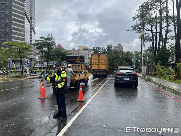 ▲▼海葵強風吹垮高雄路樹「命中駕駛座」　1男頸部受傷送醫。（圖／記者賴文萱翻攝）