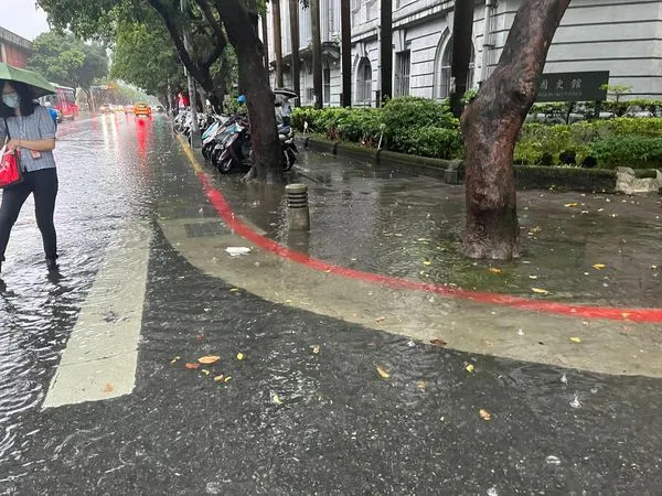 民進黨台北市議員洪婉臻表示，總統府周圍一帶只要發生強降雨，就會出現積淹水狀況。（圖／翻攝自Facebook／洪婉臻）
