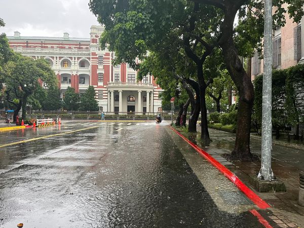 民進黨台北市議員洪婉臻表示，總統府周圍一帶只要發生強降雨，就會出現積淹水狀況。（圖／翻攝自Facebook／洪婉臻）
