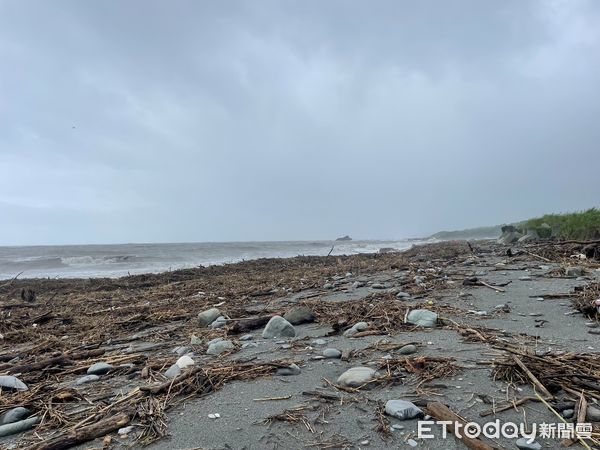 ▲▼海葵颱風帶來兩日豪大雨，花蓮岸際出現大量漂流木。（圖／花蓮分署提供，下同）