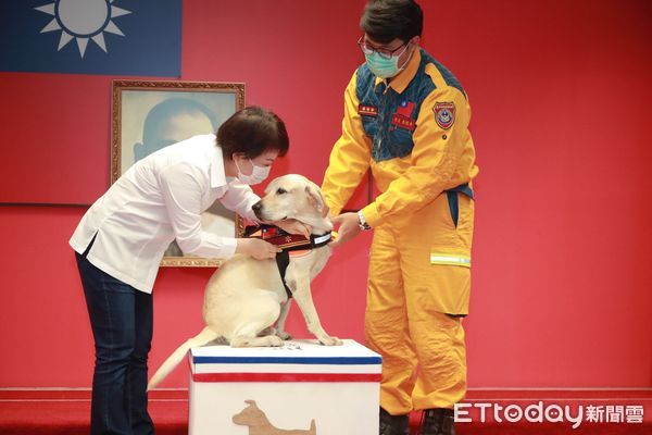 ▲▼全台最高階二線一搜救犬「鐵雄」開放領養，每月開銷只要4千元。（圖／台中消防局提供，下同）