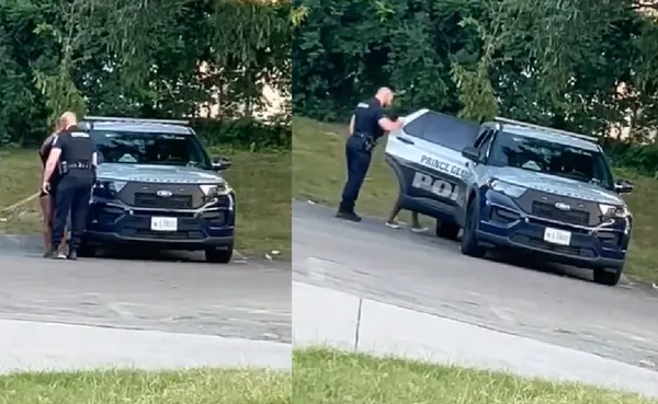 值勤警察路邊熱吻短裙妹　凍未條帶上警車「激情40分鐘」全被拍。（圖／翻攝自Instagram）