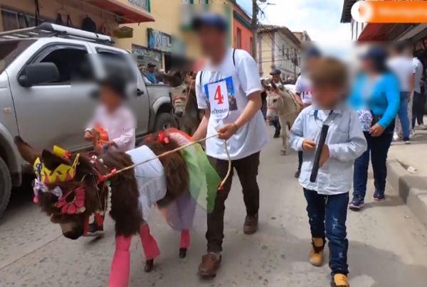 哥倫比亞舉辦驢子節，不少人會打扮驢子上街載歌載舞。（翻攝X@Reuters）