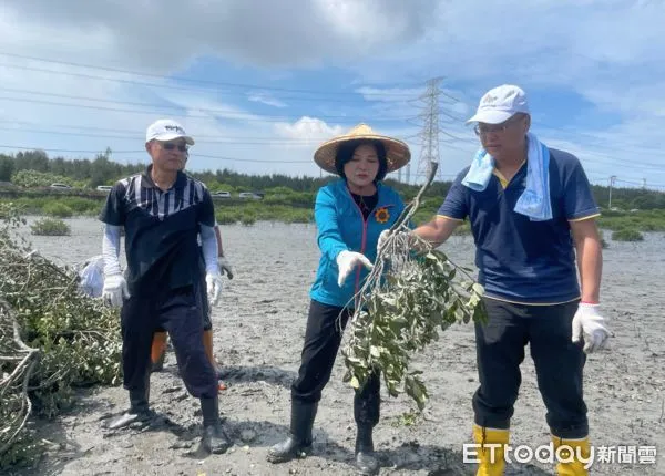 ▲今日在荒野保護協會協助下，台塑企業攜手雲林縣政府一同疏伐紅樹林，守護台灣旱招潮蟹。（圖／記者蔡佩旻翻攝）
