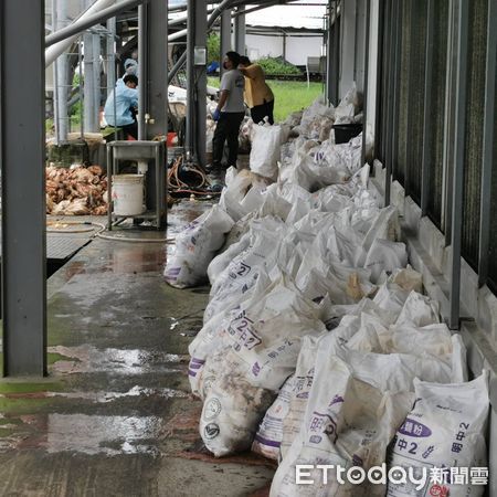 ▲因颱風來襲電力供應故障，造成一蛋雞飼養戶2萬斃死雞 。（圖／記者楊漢聲翻攝）