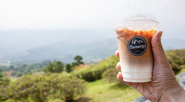 ▲▼Phamuang Coffee Doichangmub，位於泰緬邊界的隱藏版戰地景觀咖啡館，讓你在碉堡、戰壕旁眺望絕美山景。（圖／小虎食夢網提供）