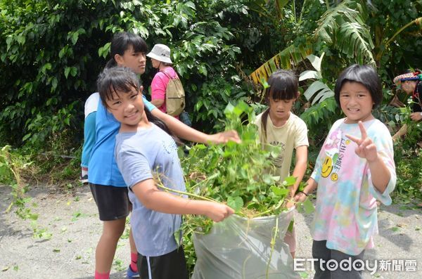 ▲林業保育署南投分署宣導移除小花蔓澤蘭，拔除後還能製成防蚊利器。（圖／林業署南投分署提供）