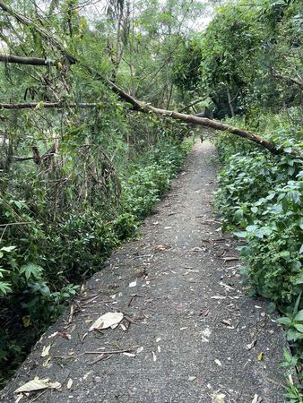 ▲香港大淹水，廖家儀移居香港。（圖／翻攝自Facebook／廖家儀）