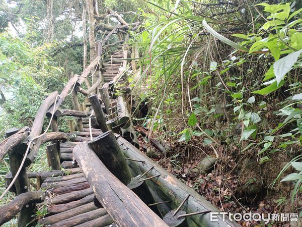 ▲雨彈狂炸，大坑2號及6號步道出現邊坡崩塌、木棧道傾斜情況。（圖／台中市政府提供）